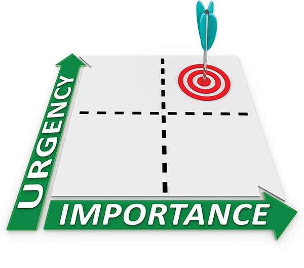 Beware Of Shiny Things: How to Keep Your Focus on Your Priorities