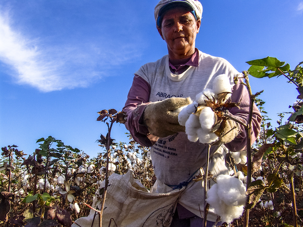 Are You Looking at the Full Scope of Sustainability?