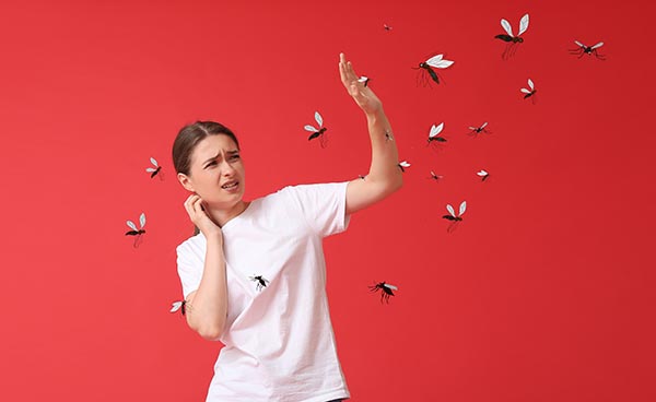 Don’t You Hate Mosquitos? Help is On the Way!