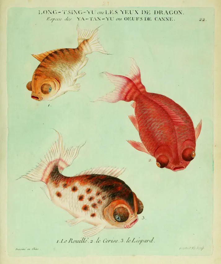 Around the Web: Of Blue Books and Brains