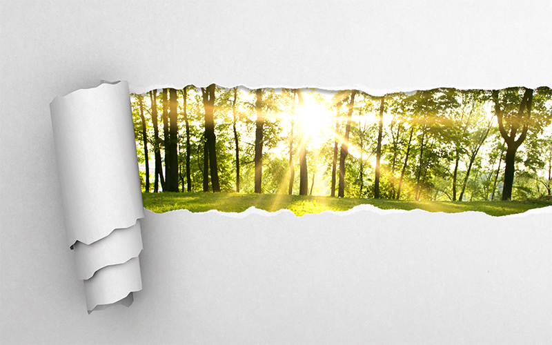 Responsibility, Collaboration and Clarity: Navigating Dynamic Sustainability Demands in Print and Packaging