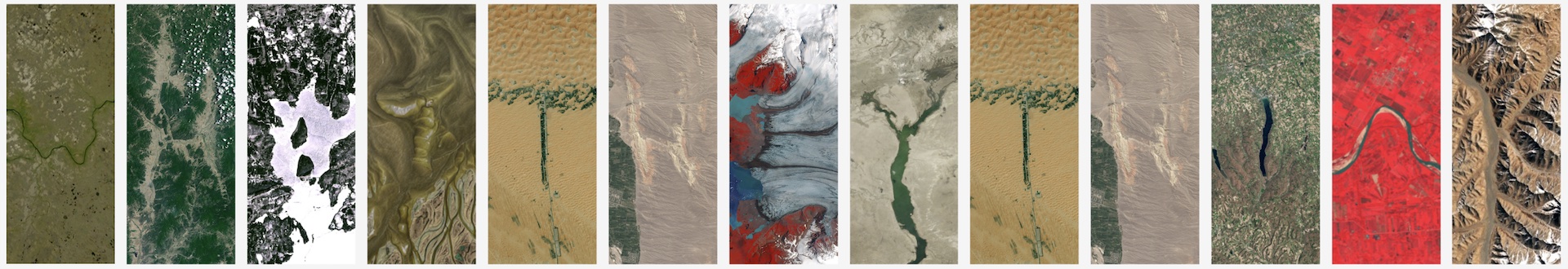 Around the Web: Of Balance and Bacteria