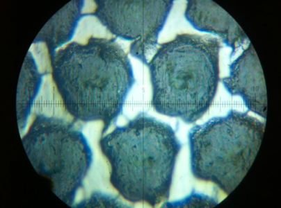 Plugged Anilox Cell